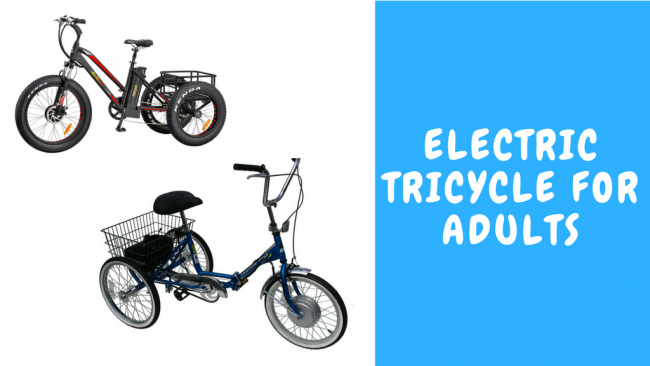 Electric Tricycle For Adults