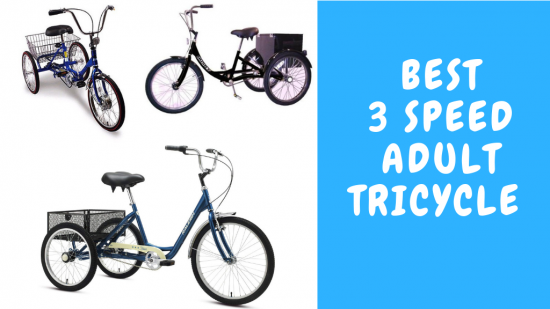 multi speed adult tricycle