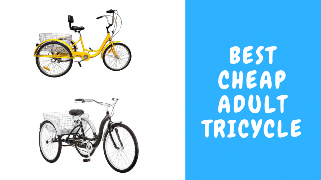 Best Cheap Adult Tricycle