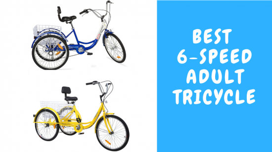 Best Adult Tricycle 6 Speeds