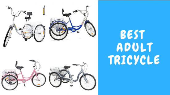 Best Adult Tricycle