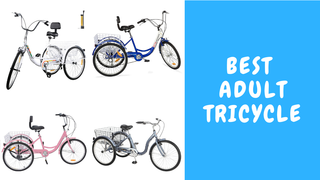 alameda adult tricycle