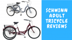 Schwinn Adult Tricycle Reviews