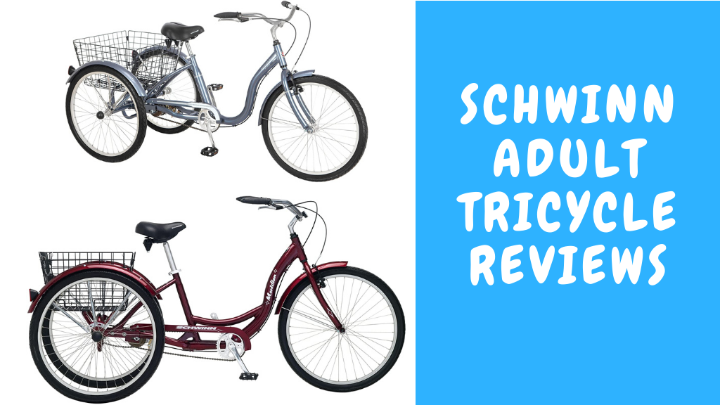 24 inch schwinn meridian tricycle
