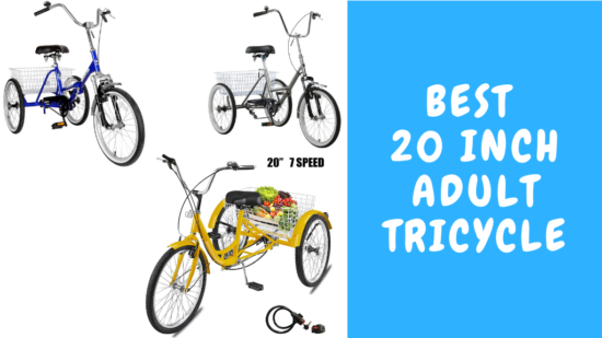 Best 20 Inch Adult Tricycle