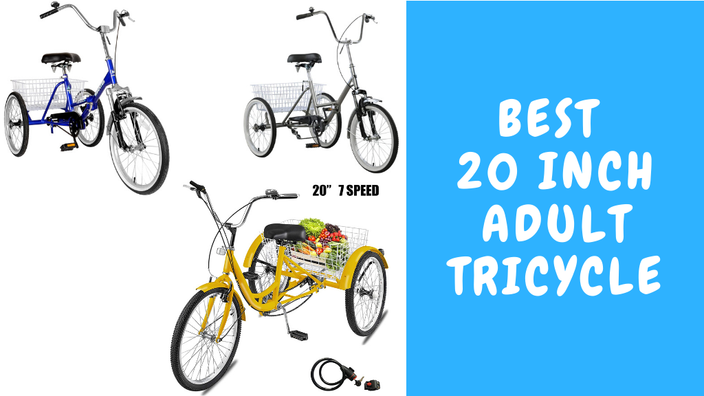 20 inch adult tricycle