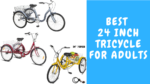 Best 24-Inch Tricycle for Adults