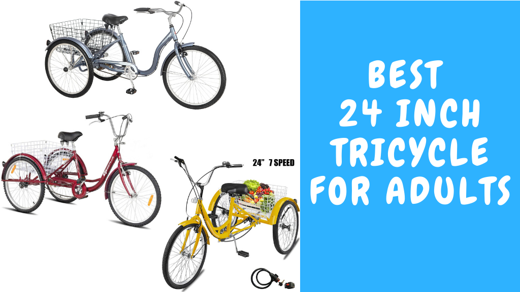 24 inch tricycle for adults