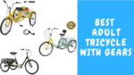 Best Adult Tricycle with Gears