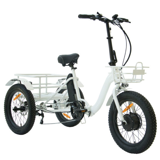 Folding Electric Tricycle with Fat Tires