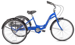 8 Best Women's Tricycle in 2020