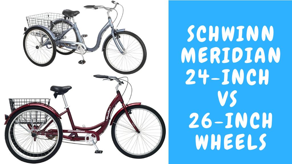24 inch schwinn meridian tricycle