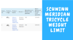 Schwinn Meridian Tricycle Weight Limit